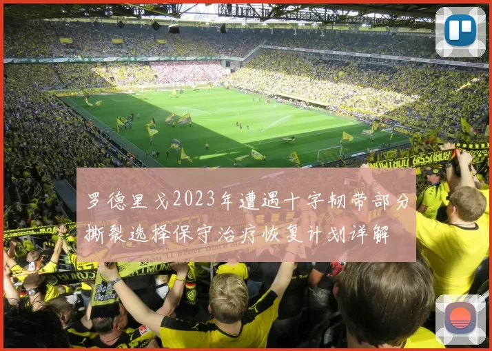 罗德里戈2023年遭遇十字韧带部分撕裂选择保守治疗恢复计划详解