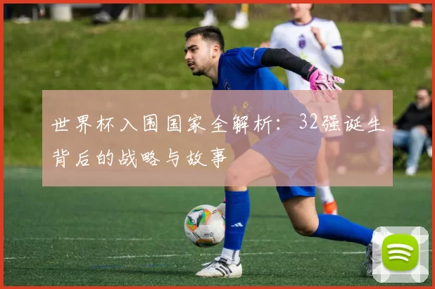 世界杯入围国家全解析：32强诞生背后的战略与故事