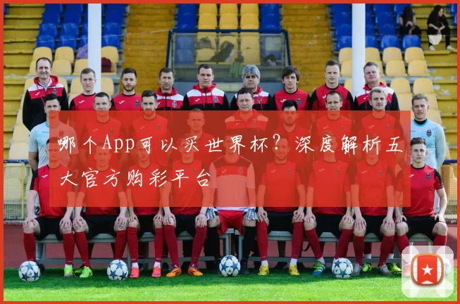 哪个App可以买世界杯?深度解析五大官方购彩平台