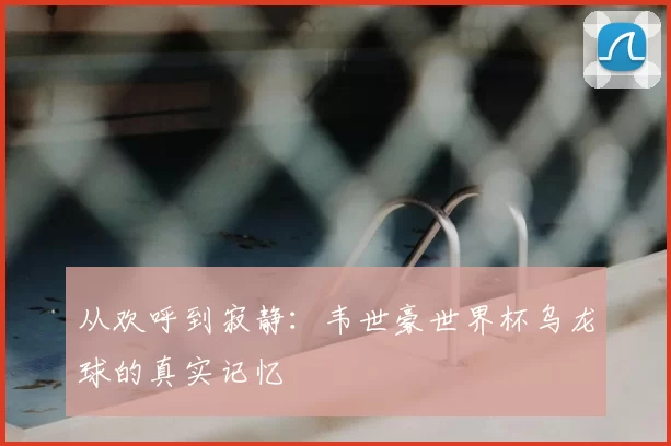 从欢呼到寂静：韦世豪世界杯乌龙球的真实记忆