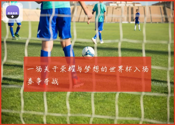 一场关于荣耀与梦想的世界杯入场券争夺战