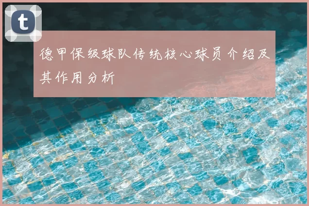 德甲保级球队传统核心球员介绍及其作用分析