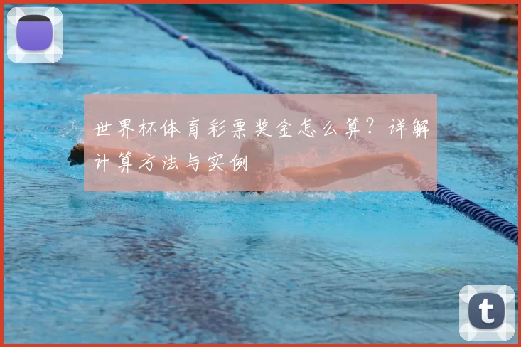 世界杯体育彩票奖金怎么算？详解计算方法与实例