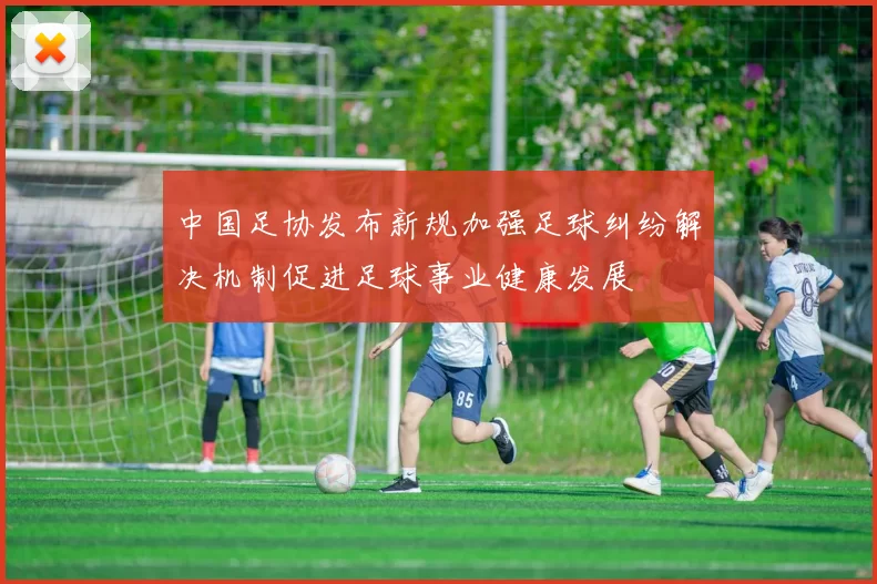 中国足协发布新规加强足球纠纷解决机制促进足球事业健康发展