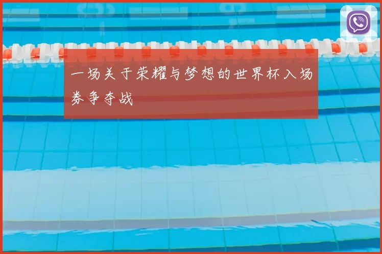 一场关于荣耀与梦想的世界杯入场券争夺战