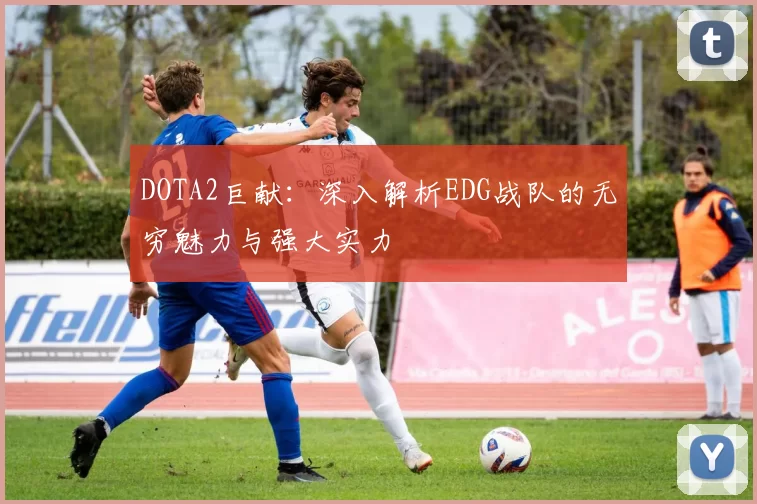 DOTA2巨献:深入解析EDG战队的无穷魅力与强大实力