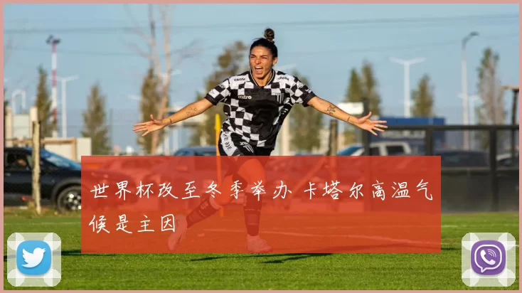 世界杯改至冬季举办 卡塔尔高温气候是主因