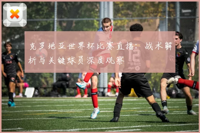 克罗地亚世界杯比赛直播:战术解析与关键球员深度观察